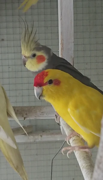 nasze-male-zoo-galeria-1