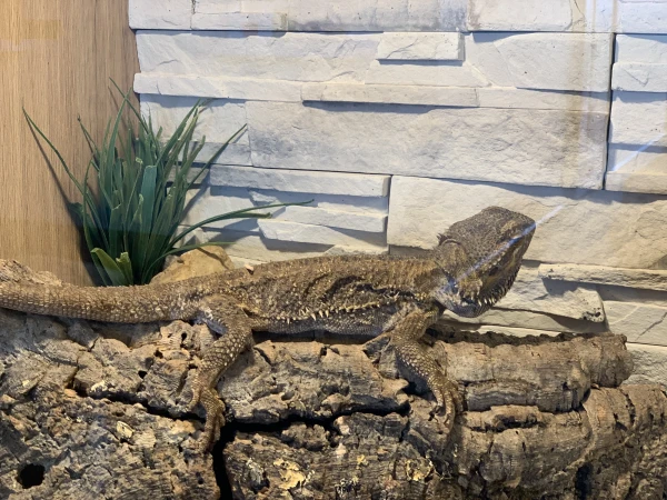 nasze-male-zoo-galeria-13