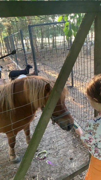 nasze-male-zoo-galeria-15