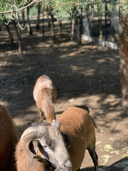 nasze-male-zoo-galeria-17