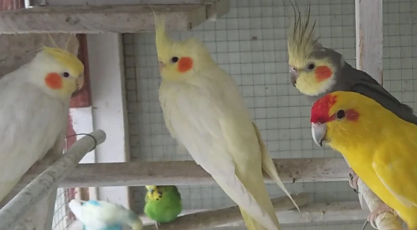 nasze-male-zoo-galeria-2