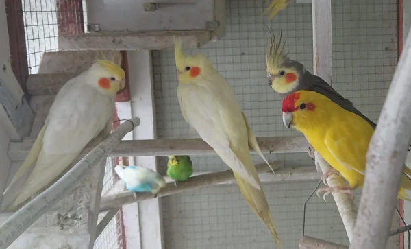 nasze-male-zoo-galeria-3