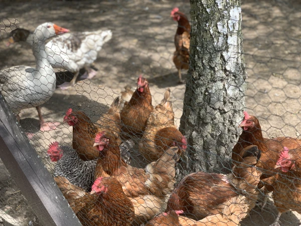 nasze-male-zoo-galeria-5